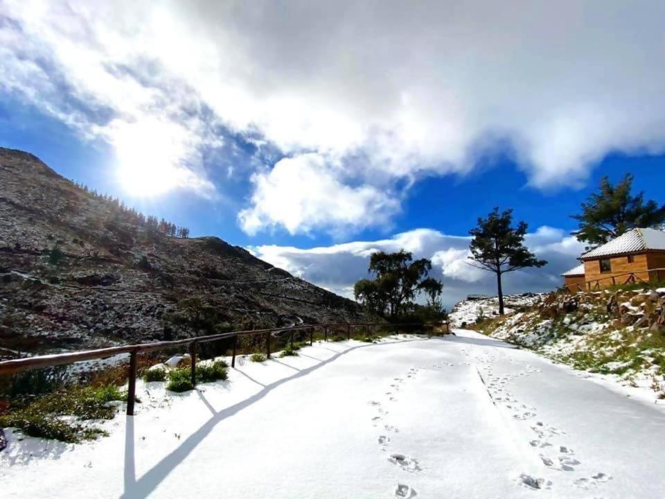 Mountain Eco Shelter 2 Otel Funchal Dış mekan fotoğraf