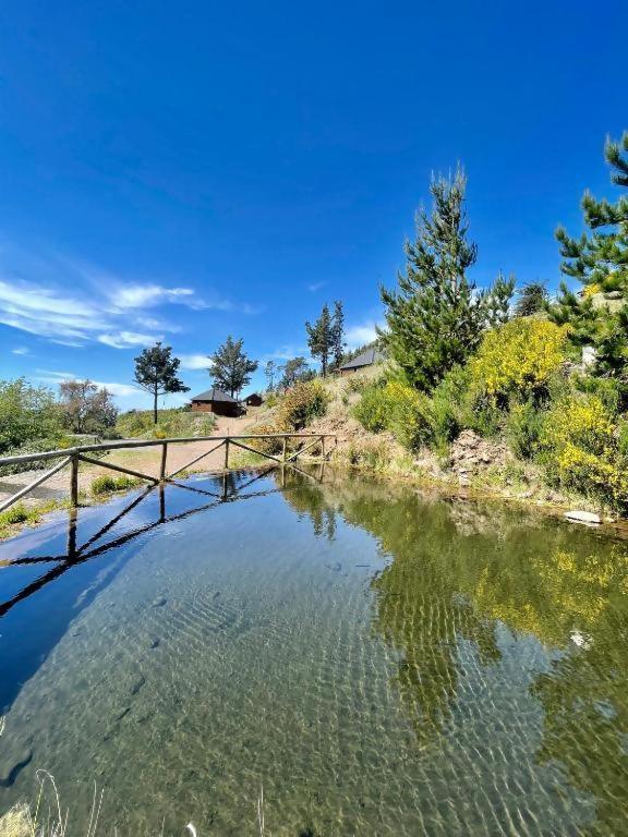 Mountain Eco Shelter 2 Otel Funchal Dış mekan fotoğraf