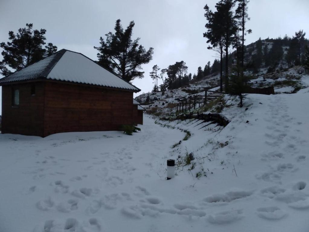 Mountain Eco Shelter 2 Otel Funchal Dış mekan fotoğraf